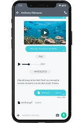 Mensajes autodestructivos